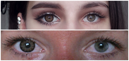 BigEyes Sexy Brown
