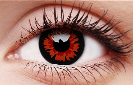Twilight-Volturi